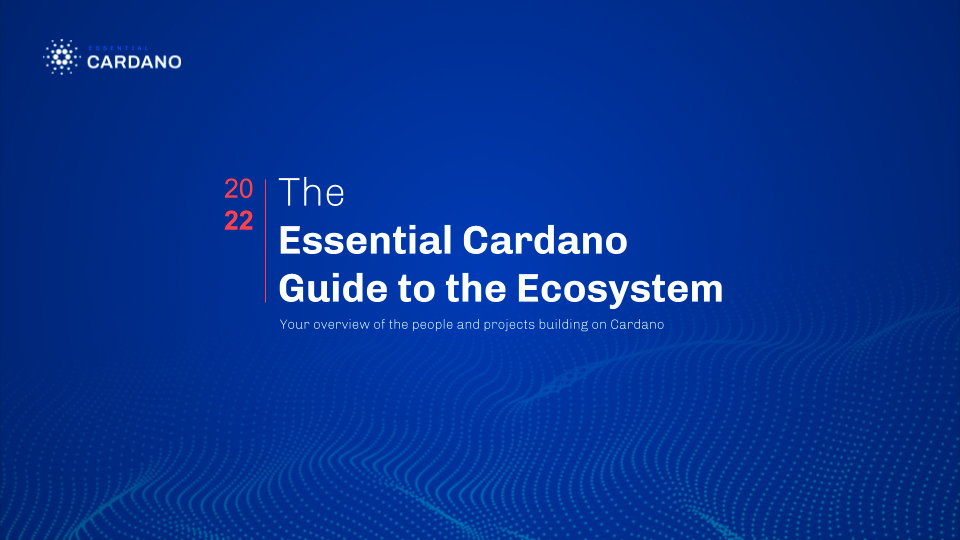 Essential Cardano Guide to the Ecosystem